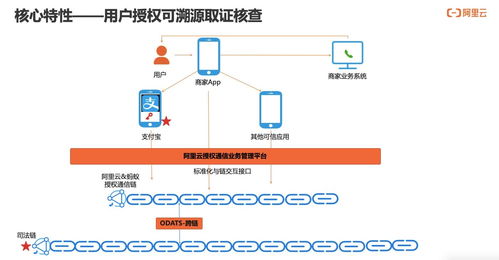 構建可信、可知、可追溯的用戶通信授權服務 技術深度解讀